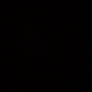 Meet your Posher, Gianna